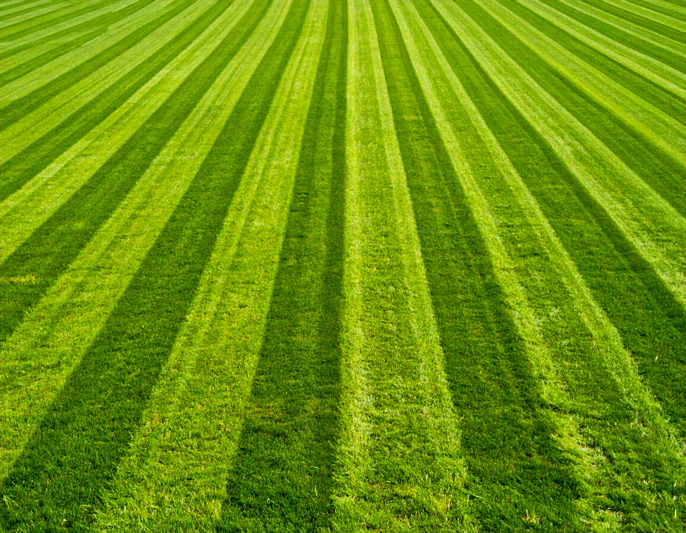 Perfect landscape with professionally striped lawn